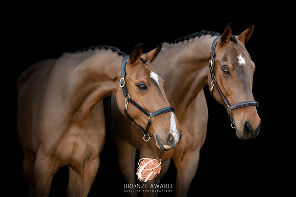 DSC_0111_BRONZE