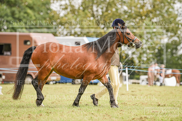DSC_0507