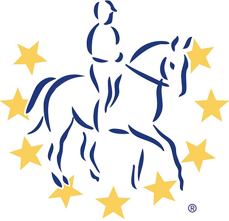 brc logo