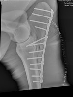 image2(3)