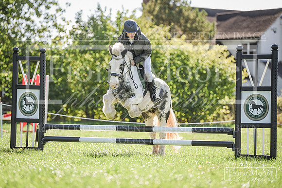 DSC_0373