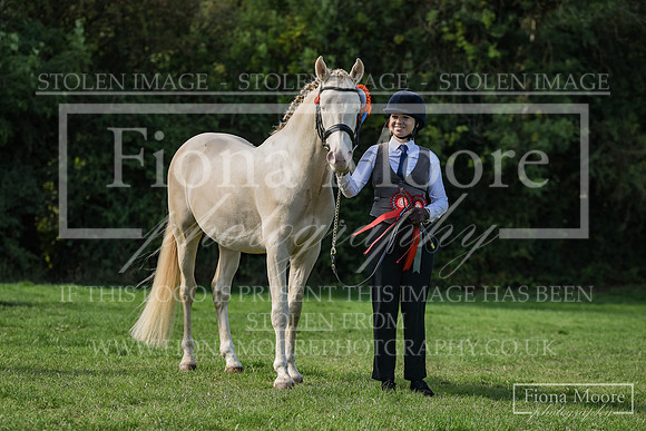 DSC_0420