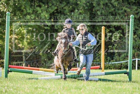 DSC_0297