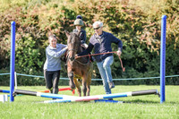 DSC_0302