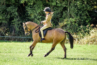 Ridden Showing
