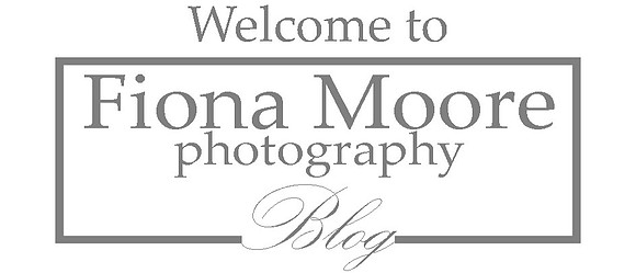 Blog logo