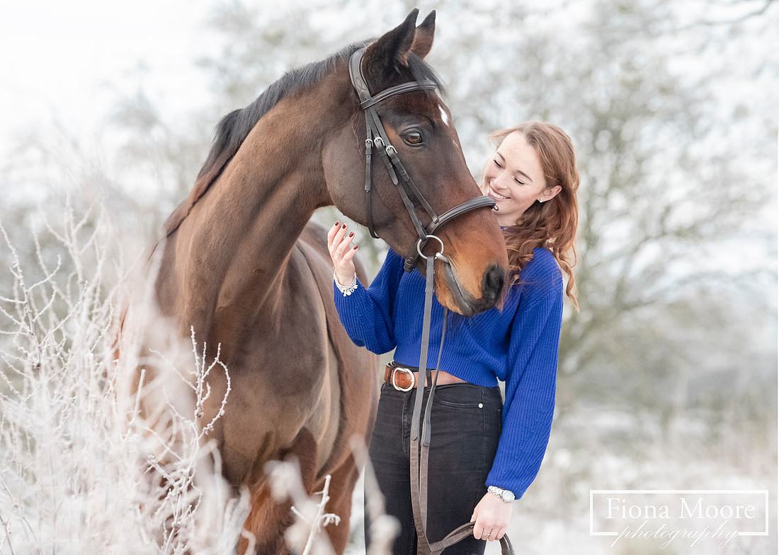Portriait of a bay thoroughbred horse, with owner in a frosty field setting. Photograph taken by West Midlands specialist equine Photographer Fiona Moore Photography