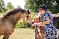 17th August Open Show