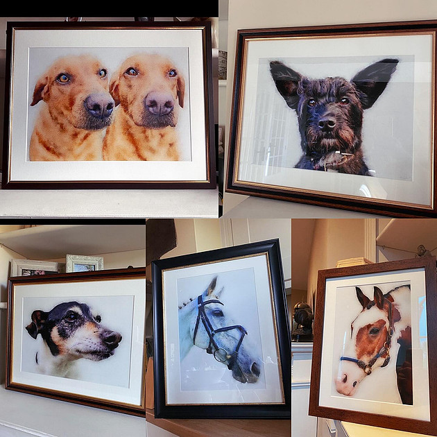 maddison-callaghan-art