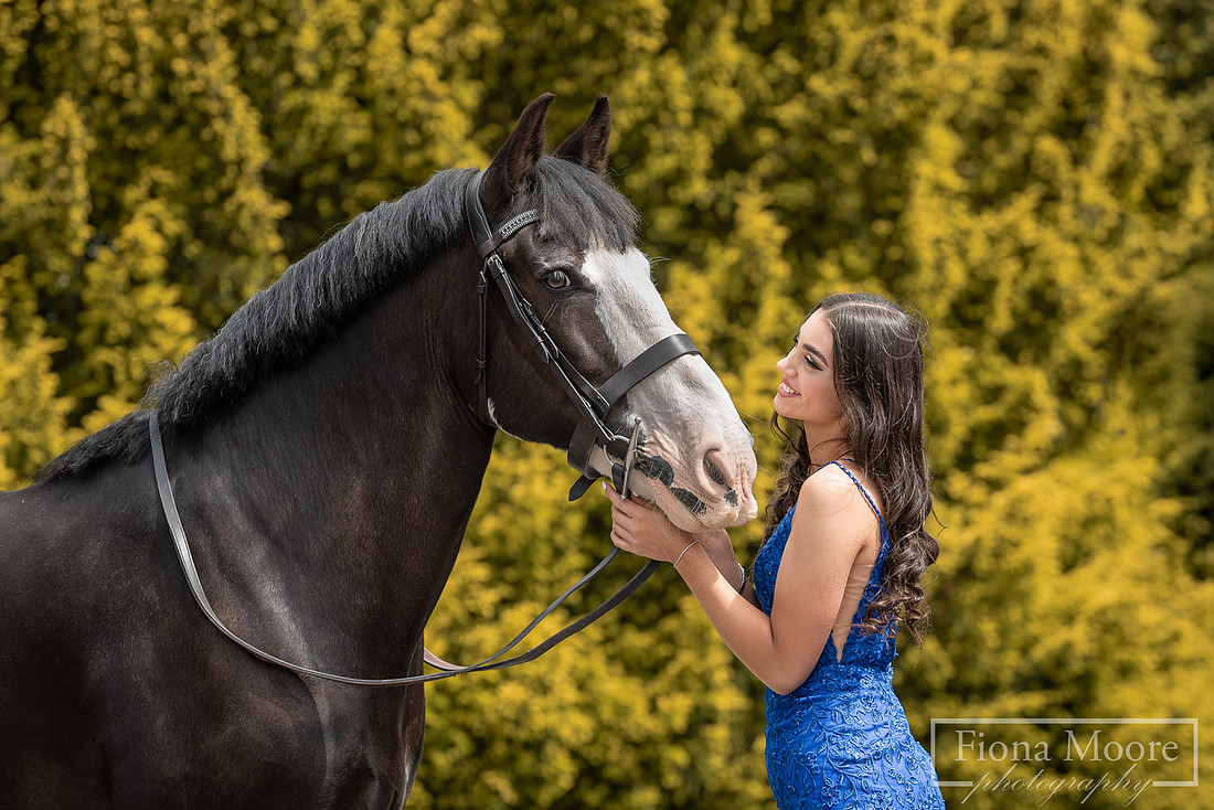 Equine Portrait by West Midlands based Equestrian Photographer Fiona Moore Photography - Ponies - Horses - Summer
