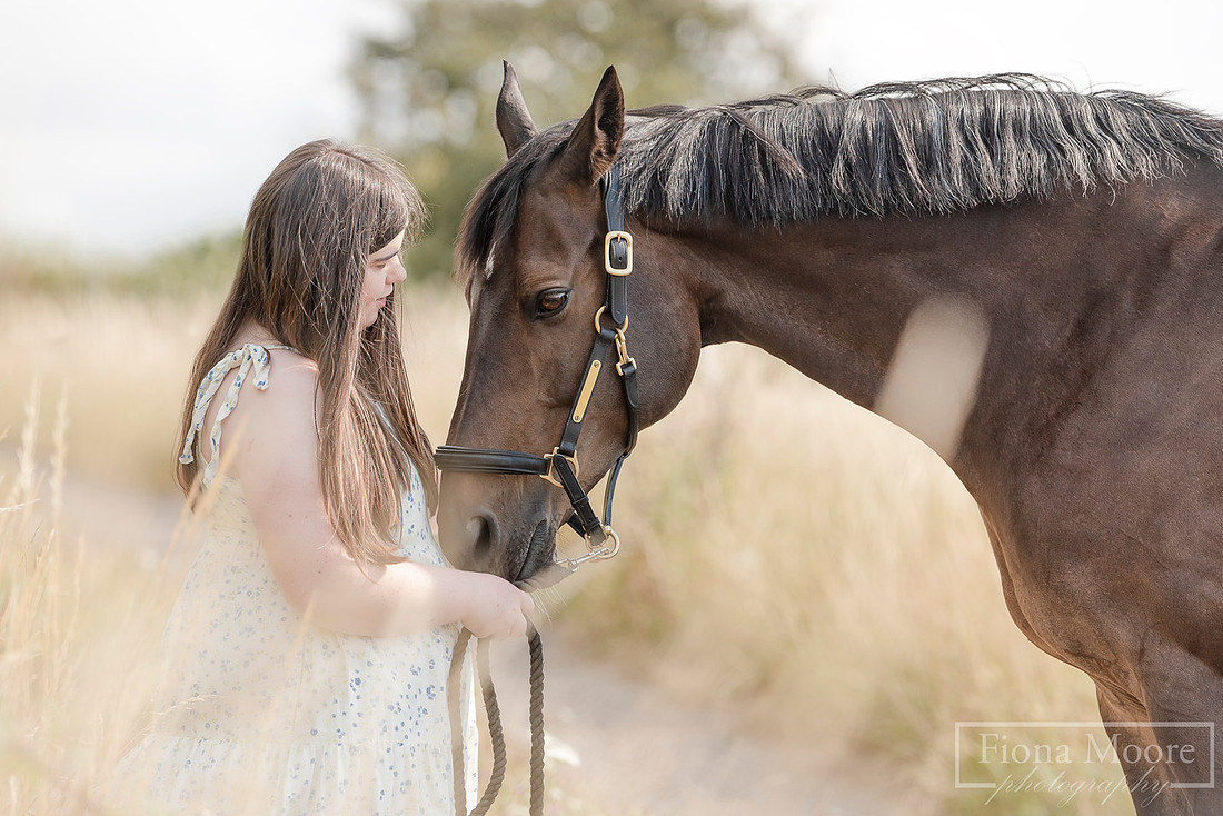 Equine Portrait by West Midlands based Equestrian Photographer Fiona Moore Photography - Ponies - Horses - Summer