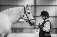 Best Mare