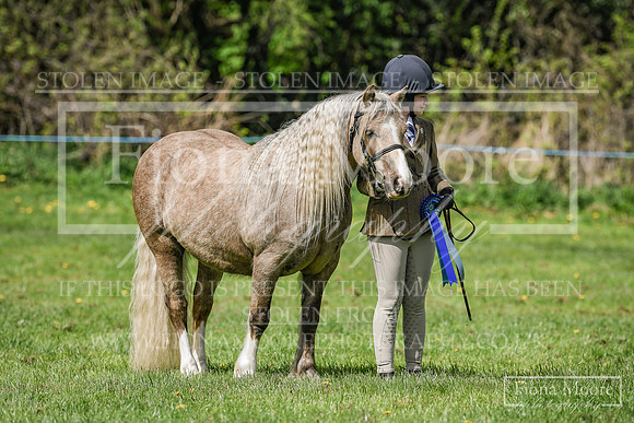 DSC_1986
