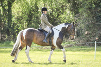 Ridden Showing