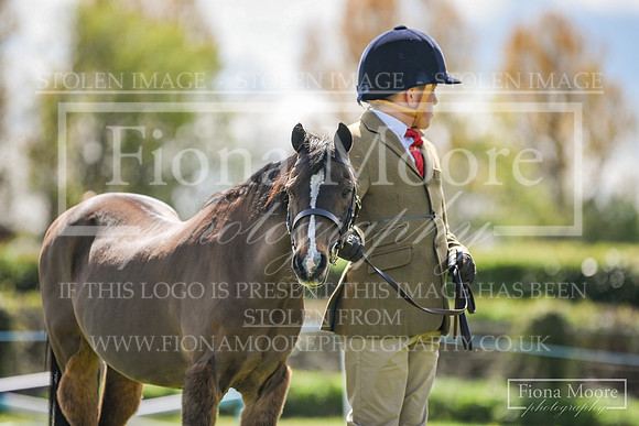 DSC_2132