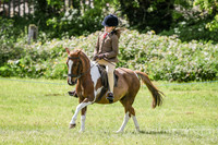 Ridden Showing