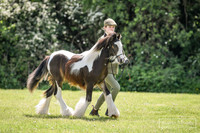 In-Hand Showing