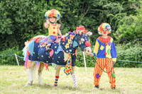 21st June Open Show
