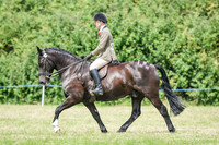 Ridden Showing