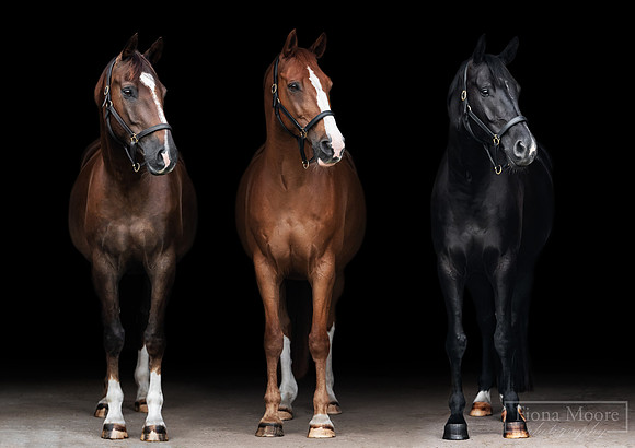 Cody-Whicket-Arlo_COMPOSITE2