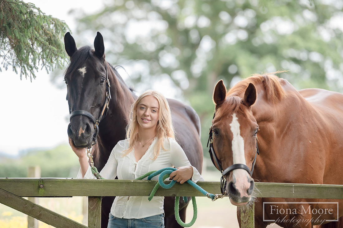  Equine Portrait by West Midlands based equestrian Photographer - Fiona Moore Photography
