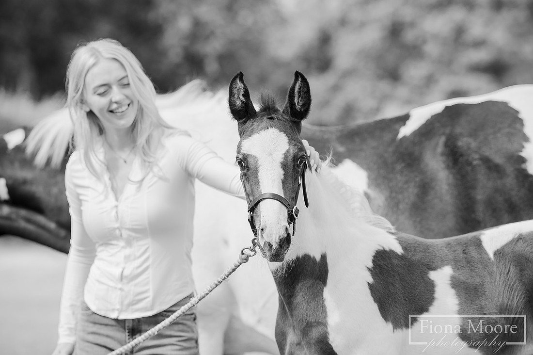 Equine foal Portrait by West Midlands based equestrian Photographer - Fiona Moore Photography