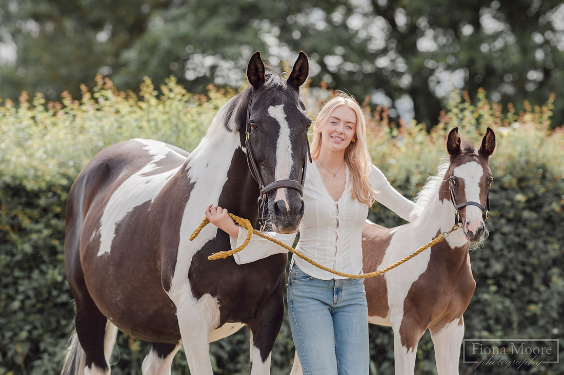 Equine foal Portrait by West Midlands based equestrian Photographer - Fiona Moore Photography