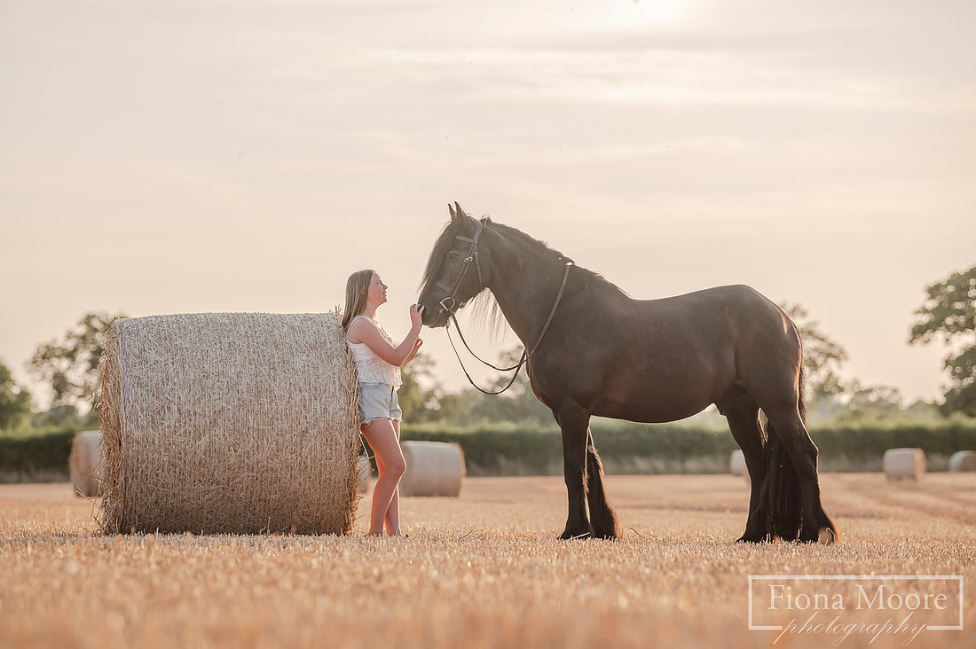 Equine portrait by equestrian photographer fiona moore photography - Sunset photoshoot - portraiture - west midlands -
