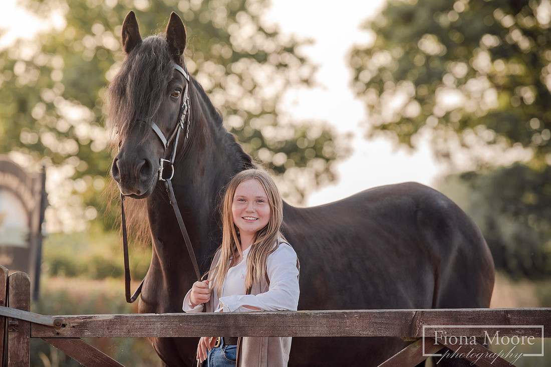 Equine portrait by equestrian photographer fiona moore photography - Sunset photoshoot - portraiture - west midlands -