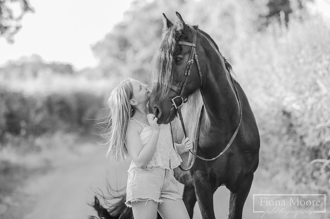 Equine portrait by equestrian photographer fiona moore photography - Sunset photoshoot - portraiture - west midlands -