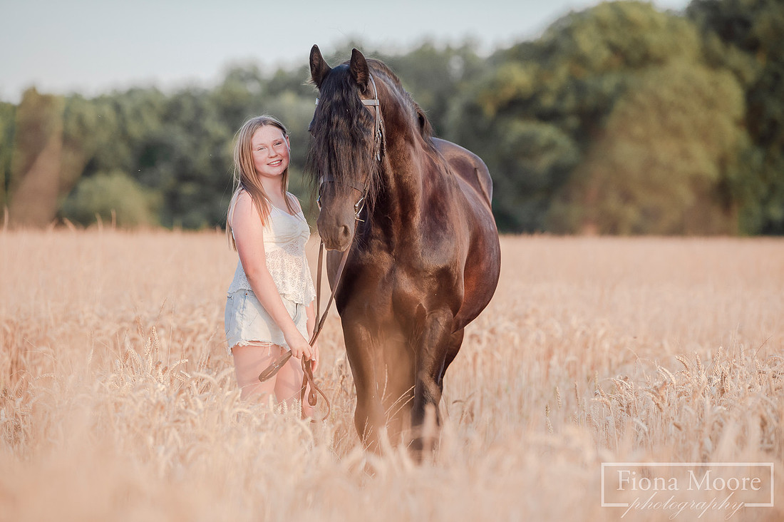 Equine portrait by equestrian photographer fiona moore photography - Sunset photoshoot - portraiture - west midlands -