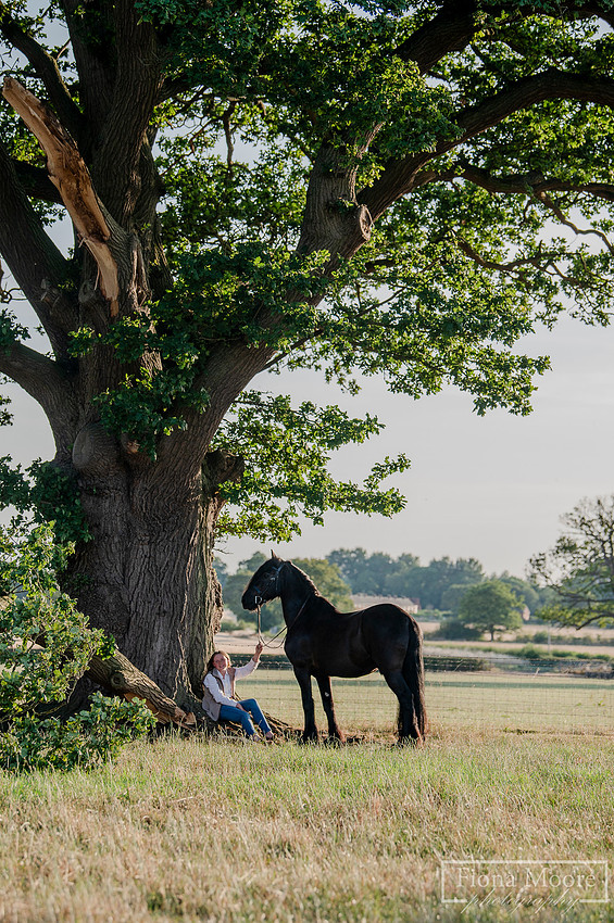 Equine portrait by equestrian photographer fiona moore photography - Sunset photoshoot - portraiture - west midlands -