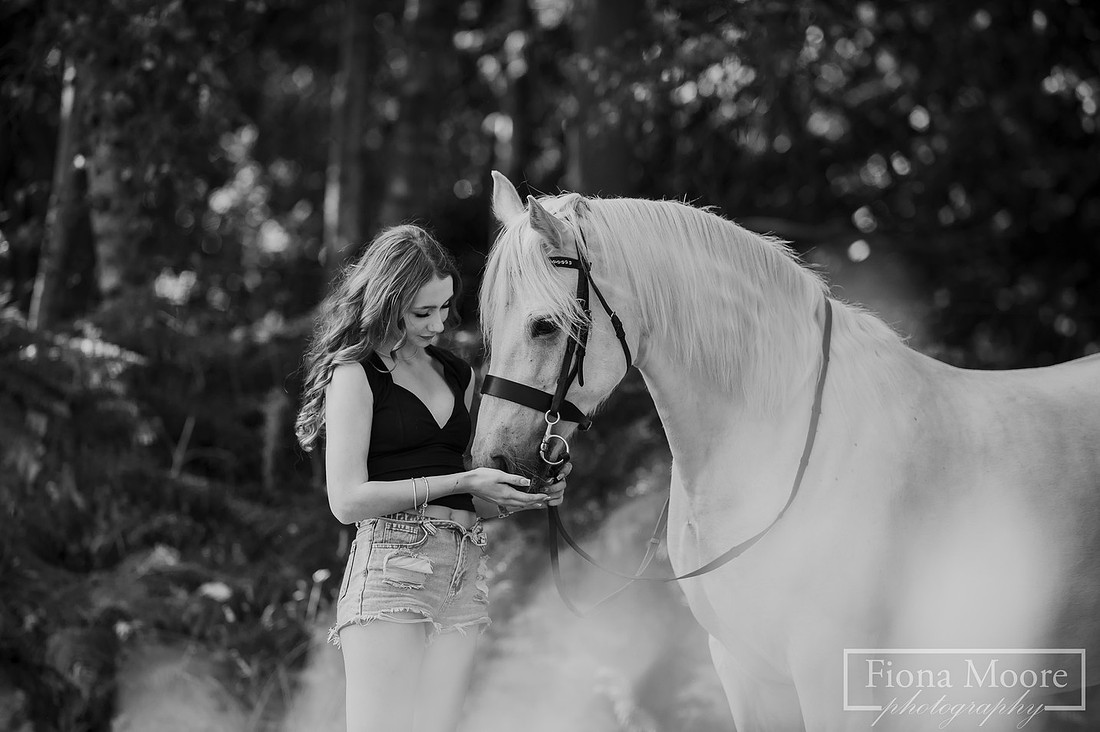 Equine portrait by equestrian photographer fiona moore photography - west midlands - grey horse cannock chase photoshoot