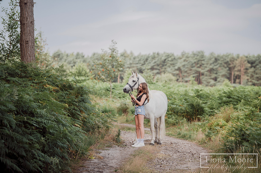 Equine portrait by equestrian photographer fiona moore photography - west midlands - grey horse cannock chase photoshoot