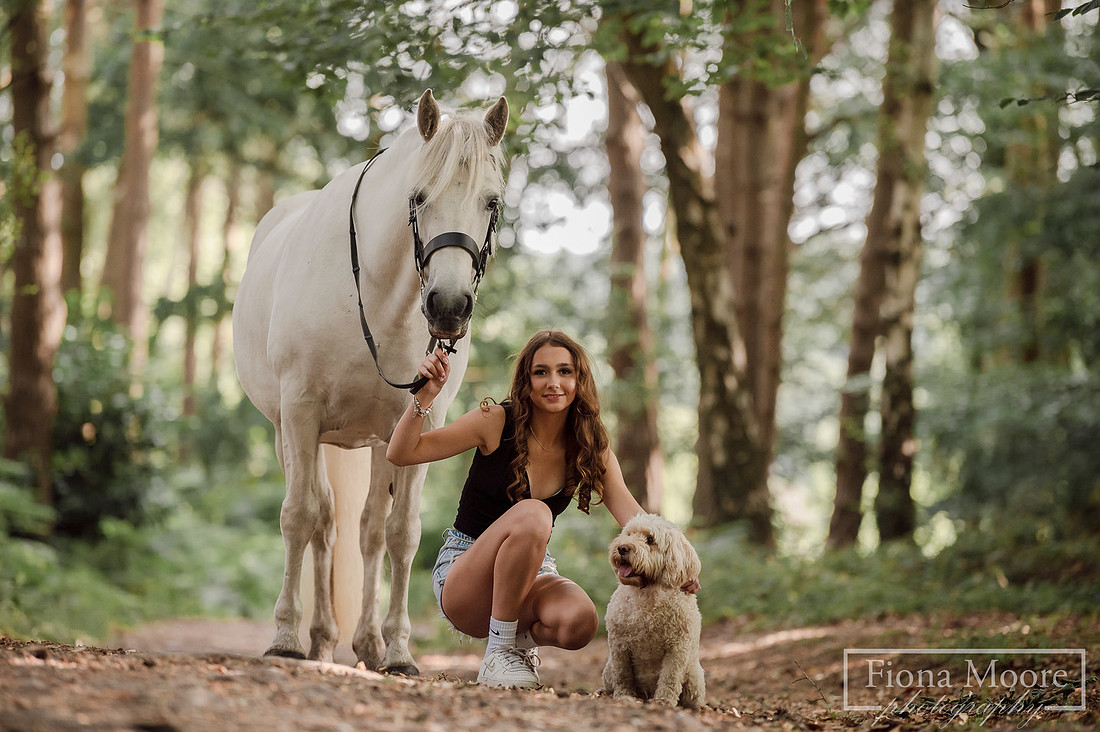 Equine portrait by equestrian photographer fiona moore photography - west midlands - grey horse cannock chase photoshoot