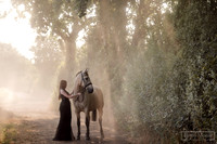What makes an Equine Photograph Special