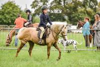 DSC_0162