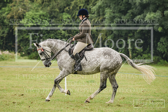 DSC_0746
