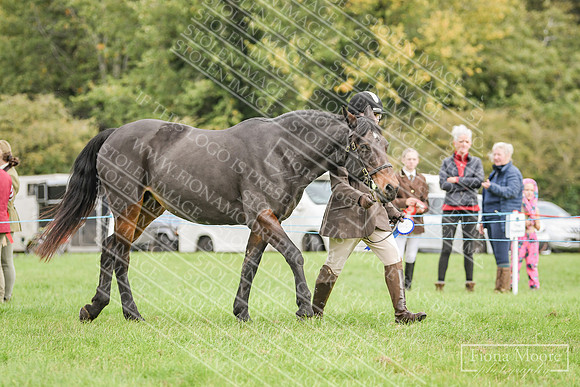 DSC_8964