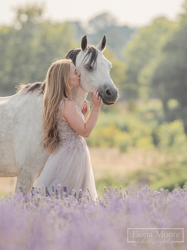 Equine Portrait by Photographer Fiona Moore Photography based in the West Midlands - Horse Portraiture