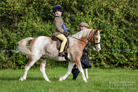 Mini Showing