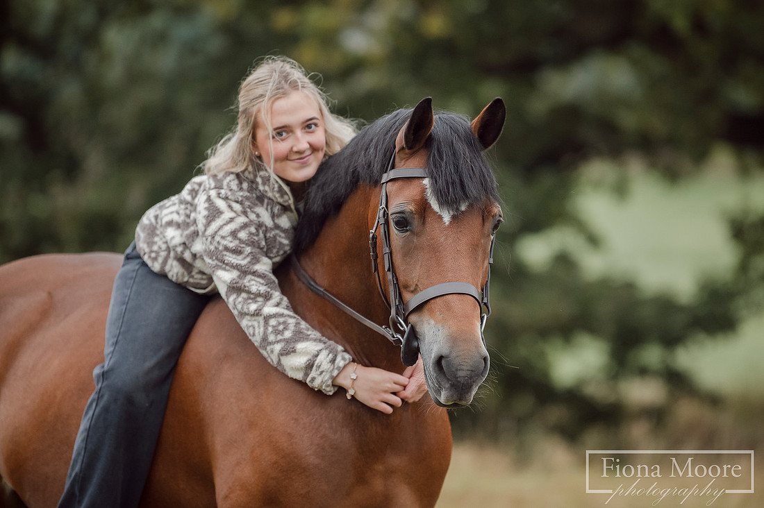 Equine Portrait by Photographer Fiona Moore Photography based in the West Midlands - Horse Portraiture