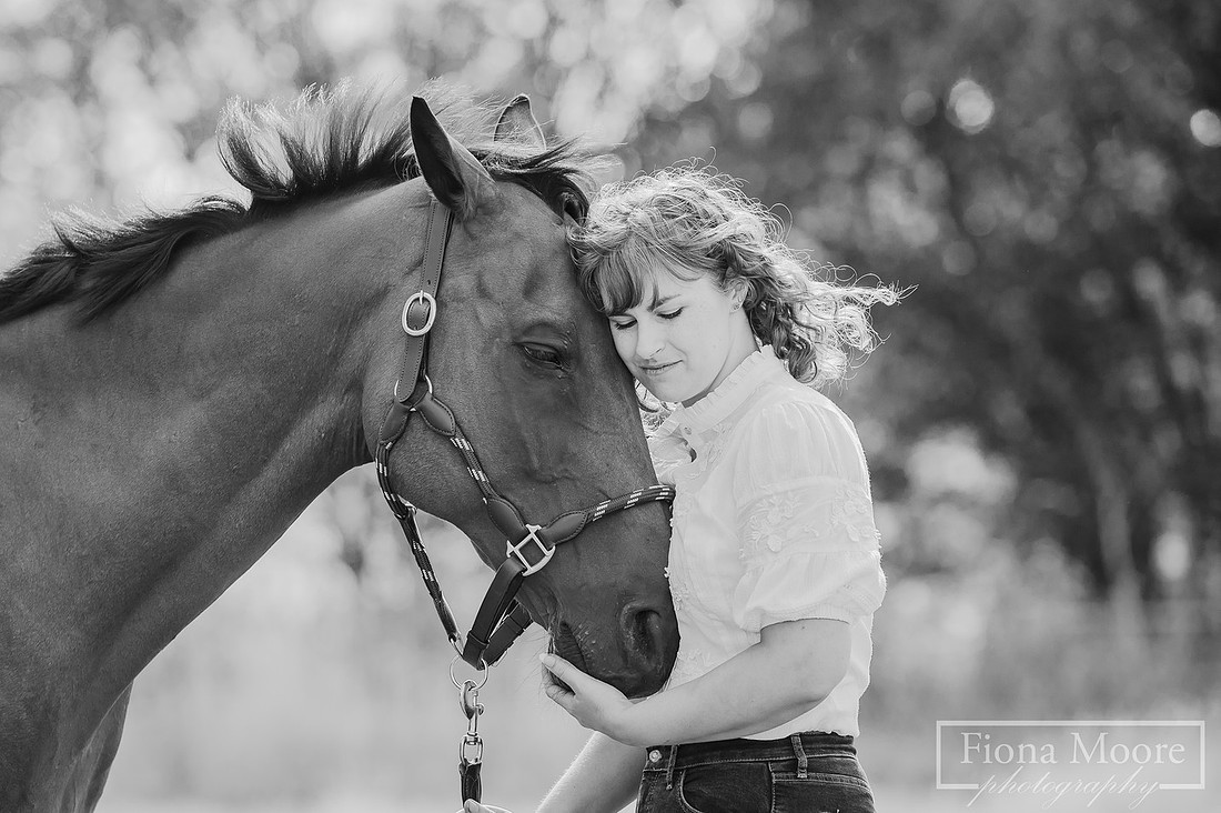 Equine Portrait by Photographer Fiona Moore Photography based in the West Midlands - Horse Portraiture