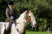 20th September Open Show