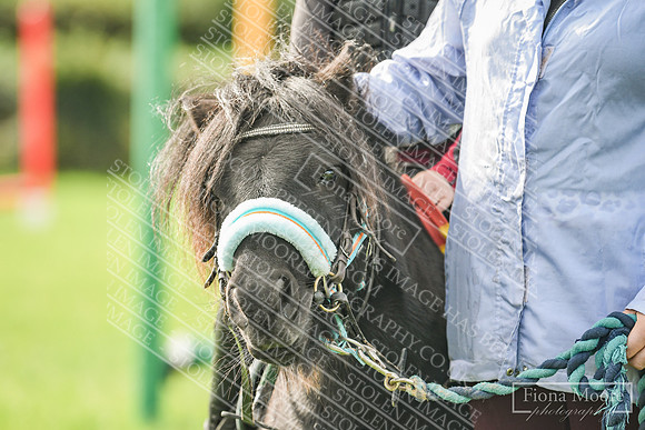 DSC_8700