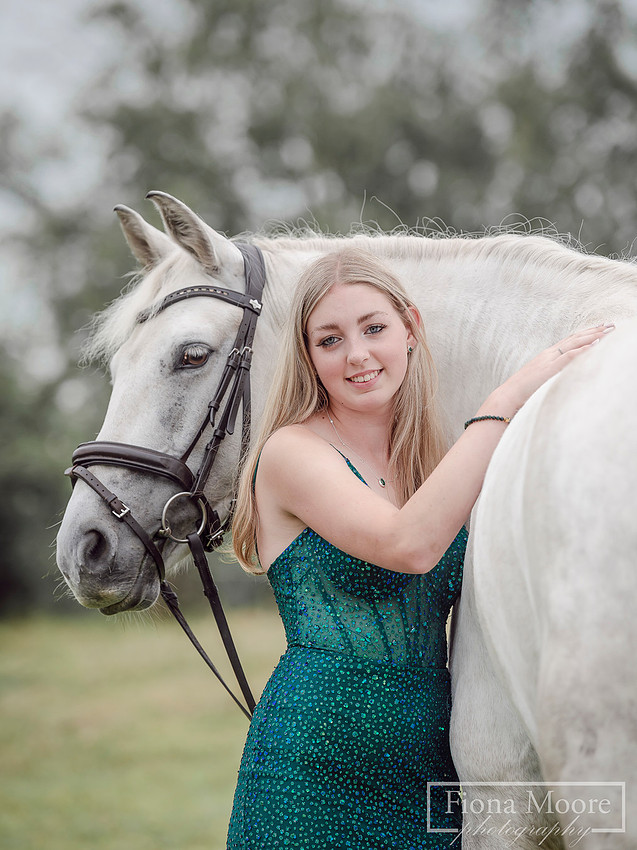 Equine Portrait by Photographer Fiona Moore Photography based in the West Midlands - Horse Portraiture