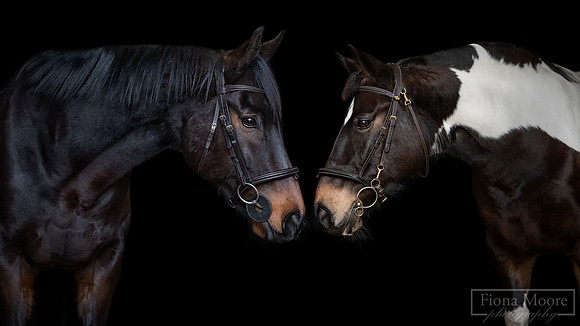 Bobby-Taysha-COMPOSITE