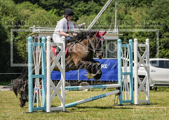 DSC_0895