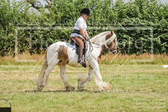 DSC_2508
