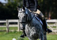 Dressage Championship -  20th September